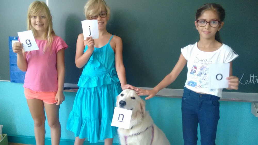 Un élève à quatre pattes en CE1 Turquoise