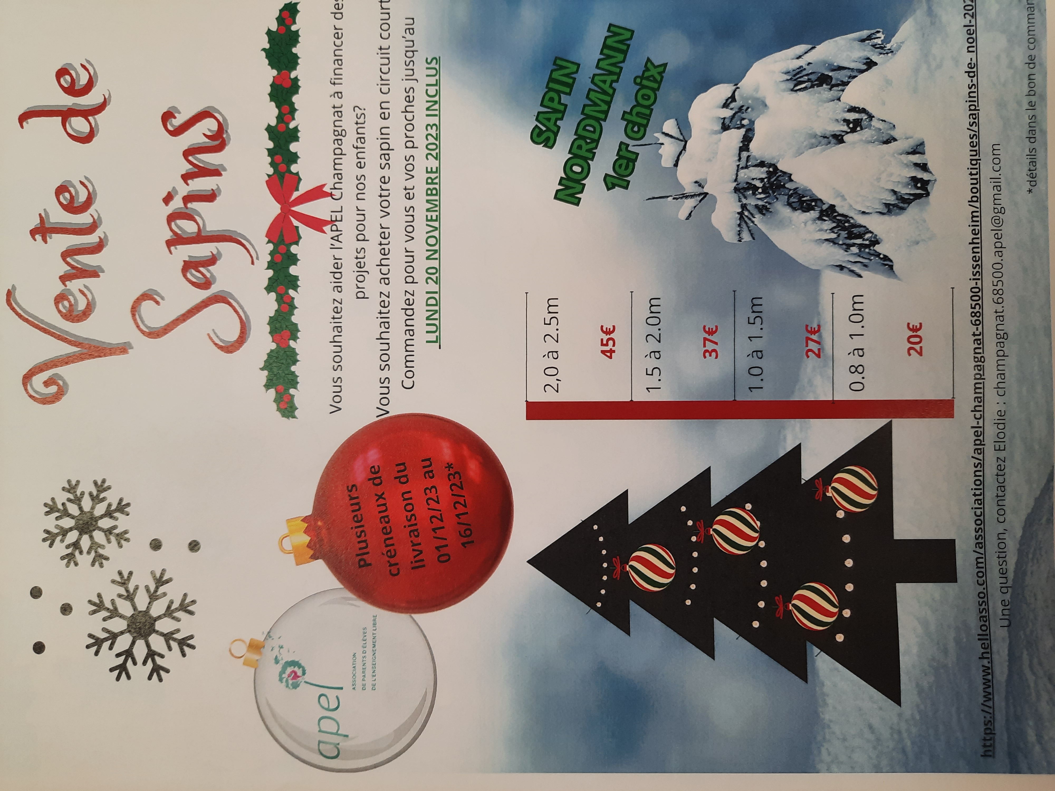 Opération sapins de Noël 2023