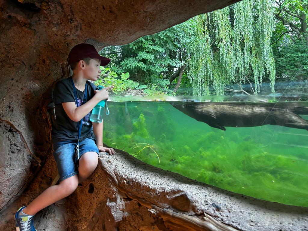 Sortie Natur'Oparc des 11B et 11C (suite)