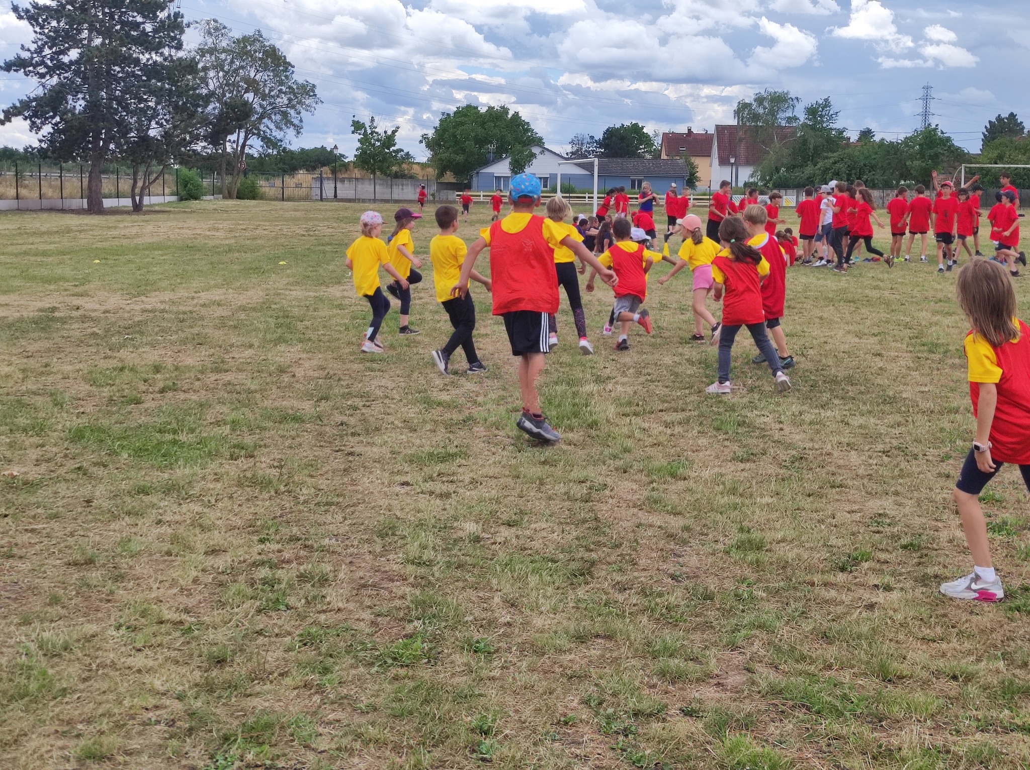 Tournoi de Rugby (suite)