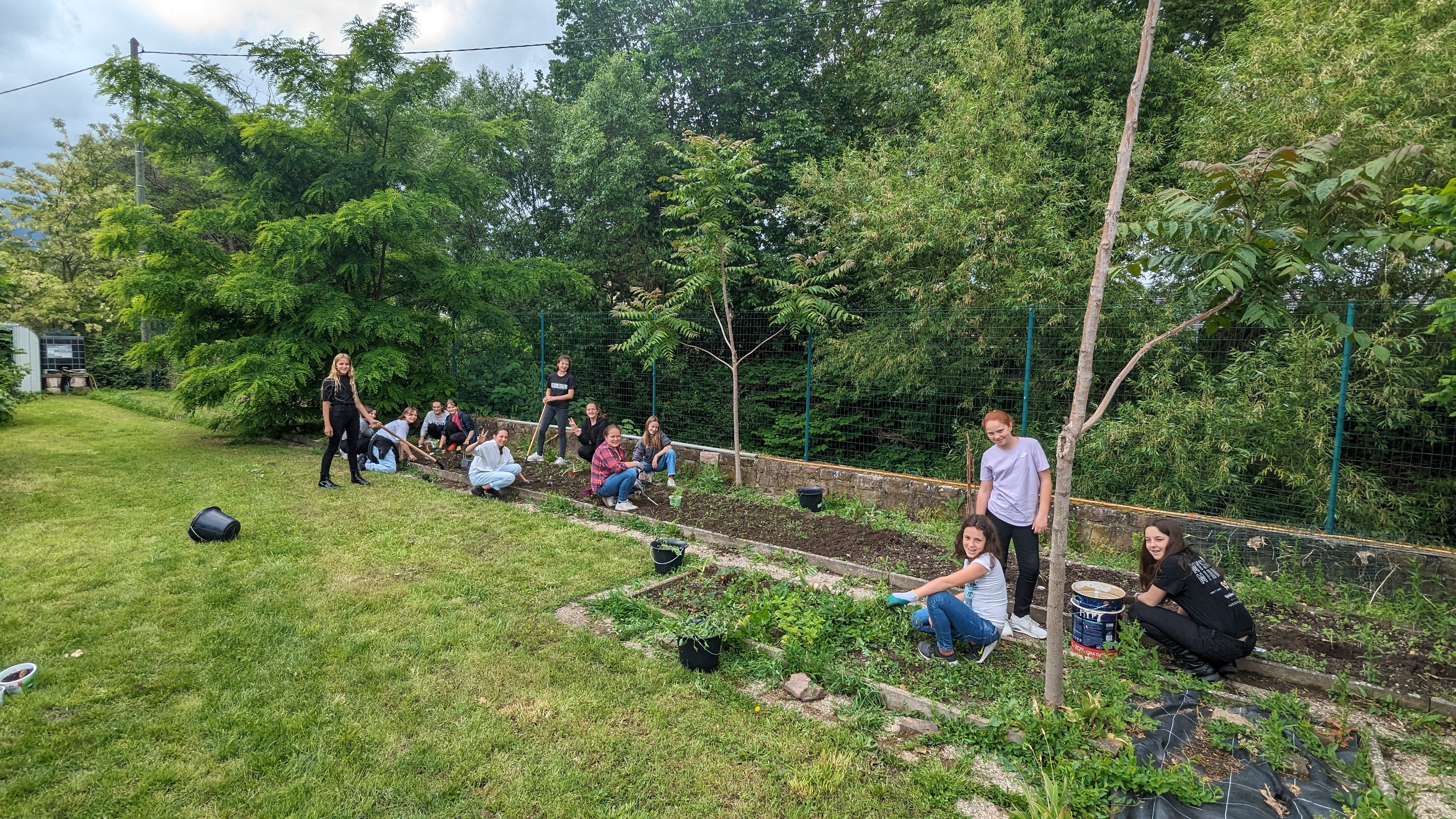 Atelier potager : mises en terre