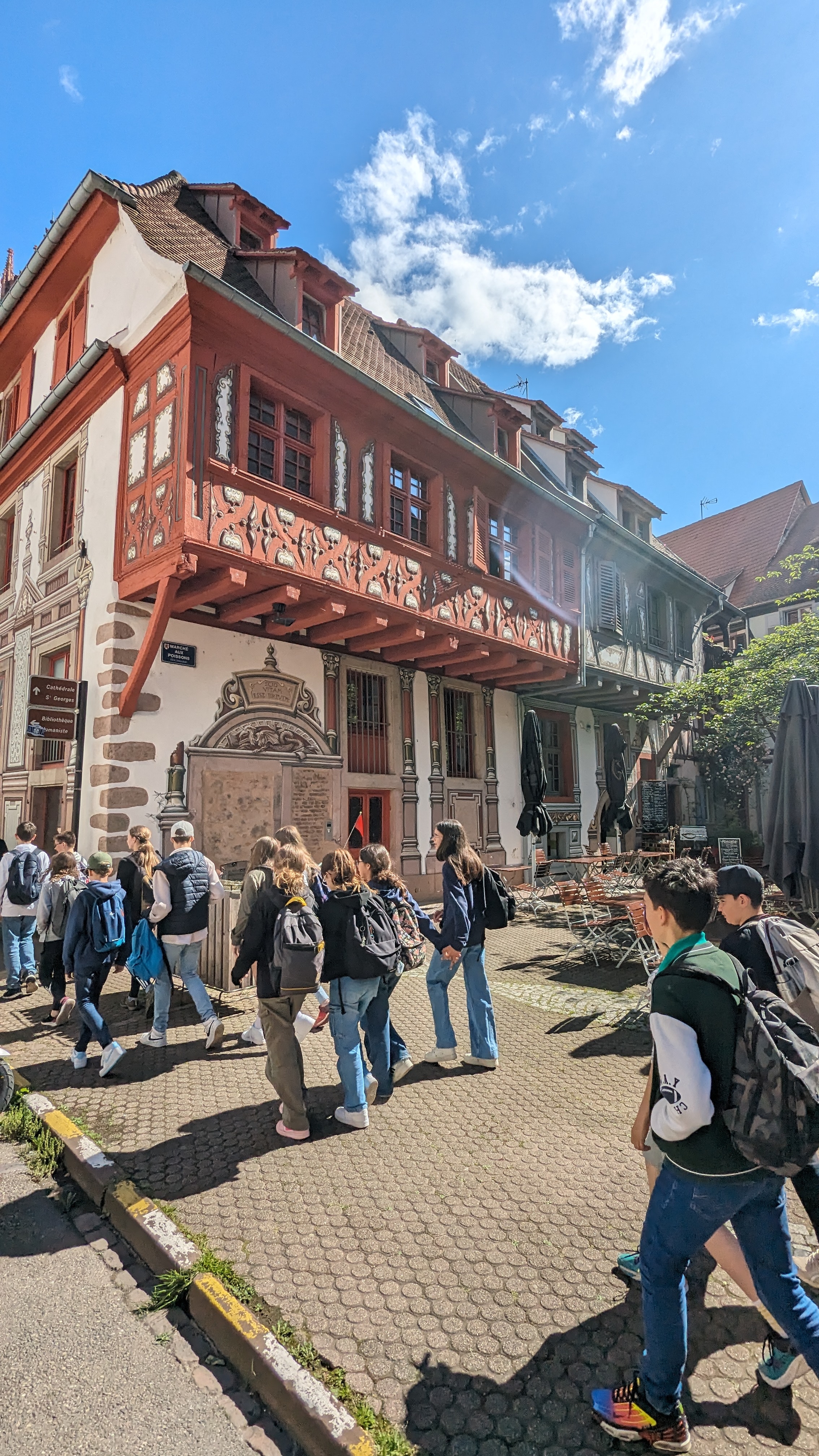 Sortie Bibliothèque humaniste et Haut-Koenigsbourg des 5AE