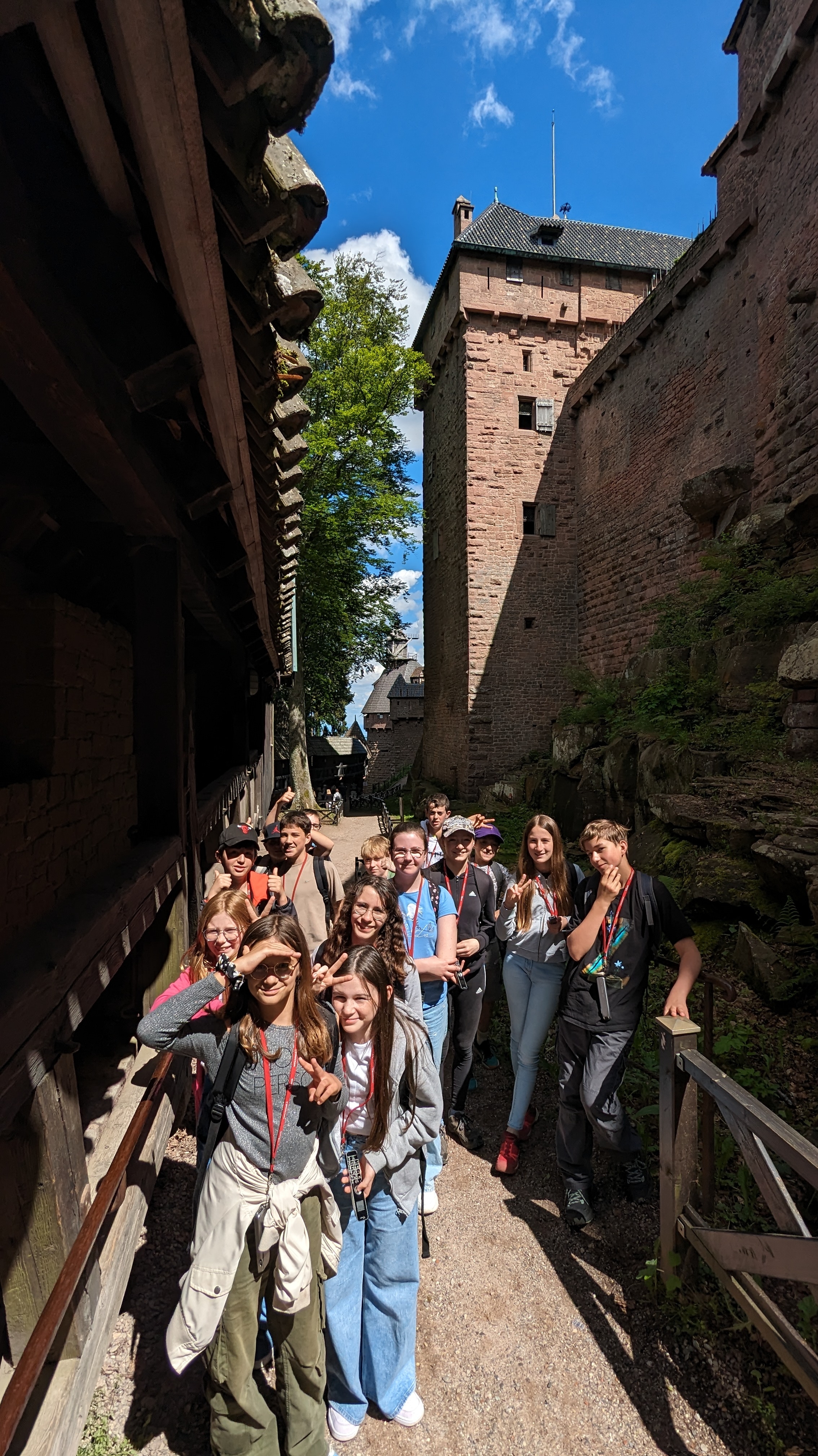 Sortie Bibliothèque humaniste et Haut-Koenigsbourg des 5AE (suite et fin)