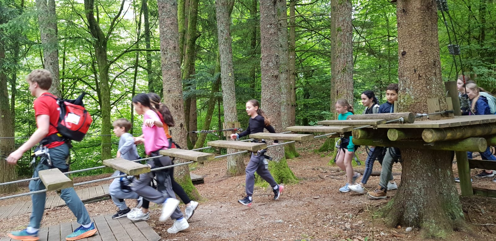 Sortie accrobranche des 5D et 5H