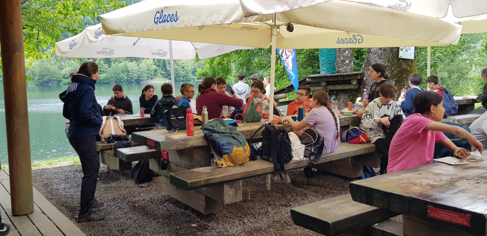 Sortie accrobranche des 5D et 5H (suite et fin)
