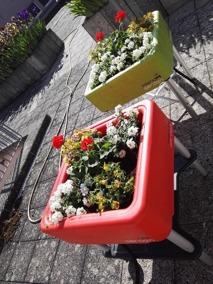 Oh les jolies fleurs ...