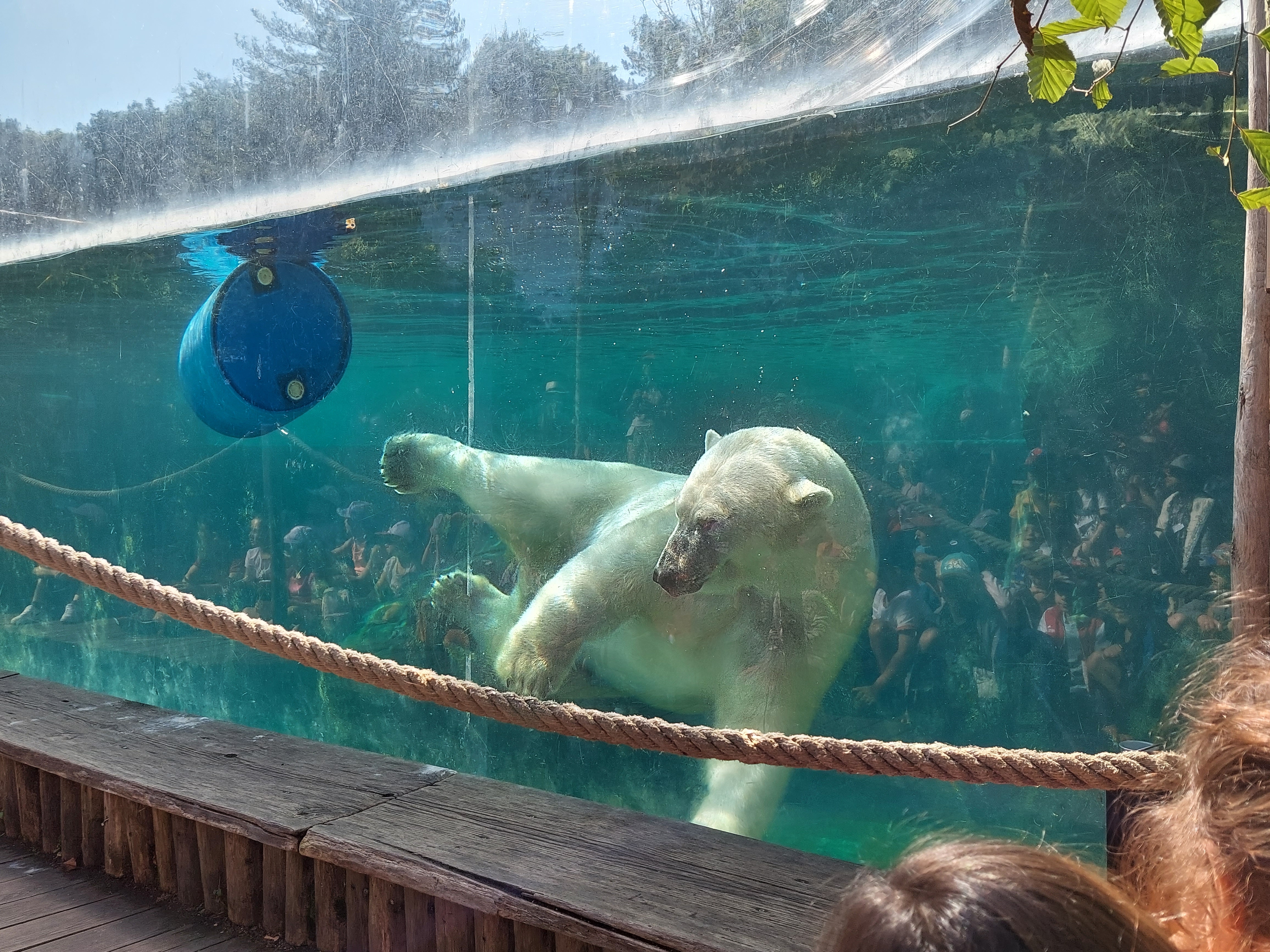 Sortie au Zoo de Mulhouse pour les GS