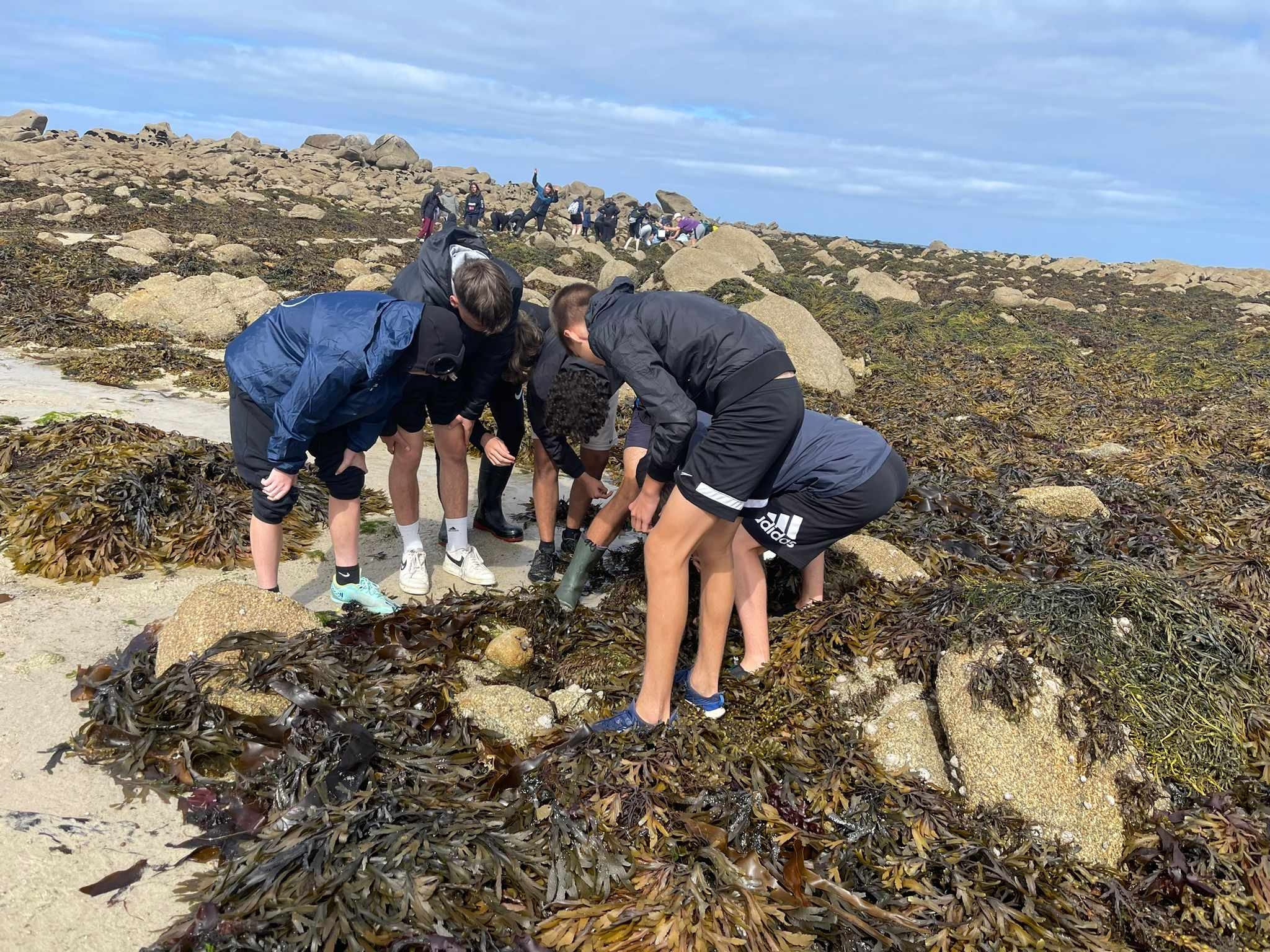 VOYAGE DE COHESION  EN BRETAGNE DES TERMINALES (suite)
