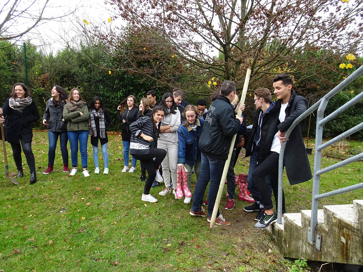 Comment passe-t-on d'une simple recherche en gestion au CDI à la plantation d'un pommier près du potager du lycée ?