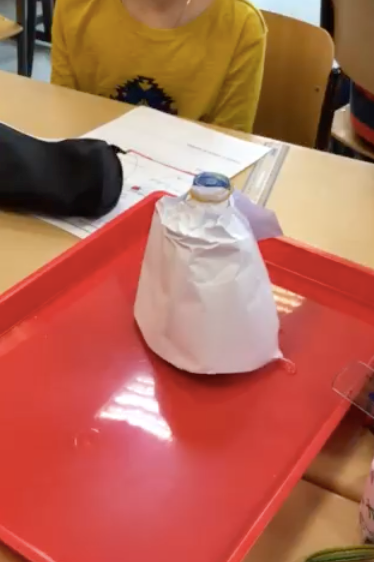 SCIENCES EN CM1-B