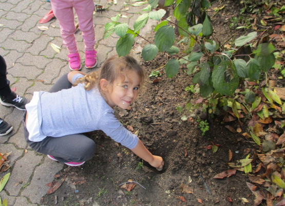 Jardinage en moyenne section