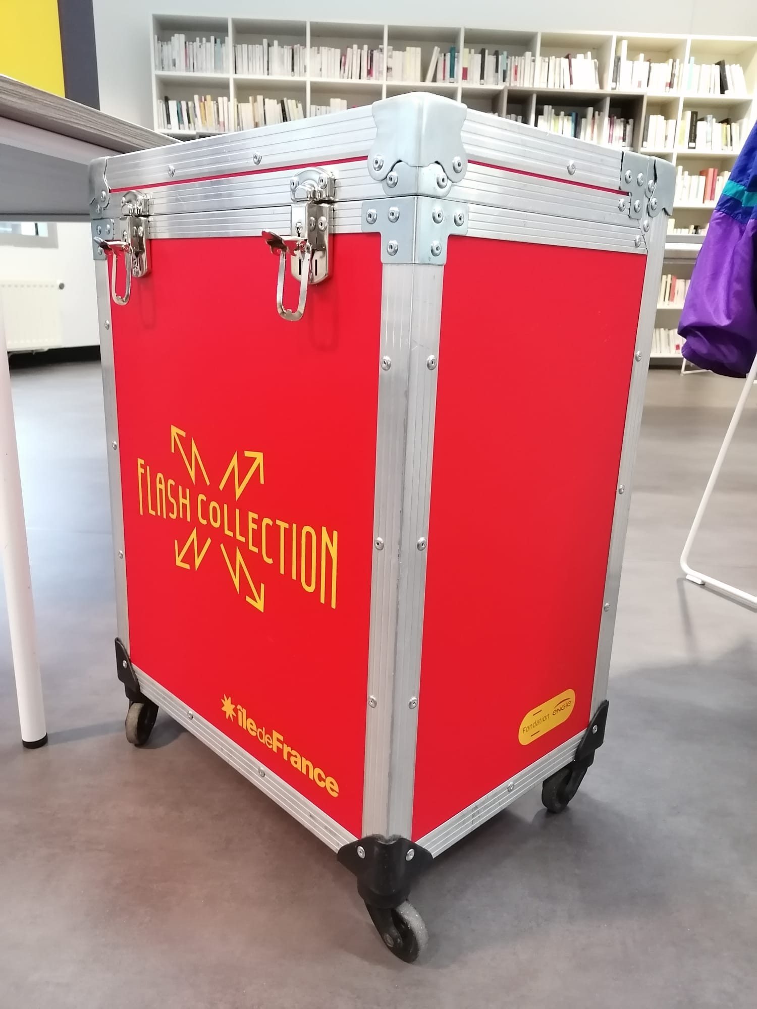 Flash collection au CDI du lycée