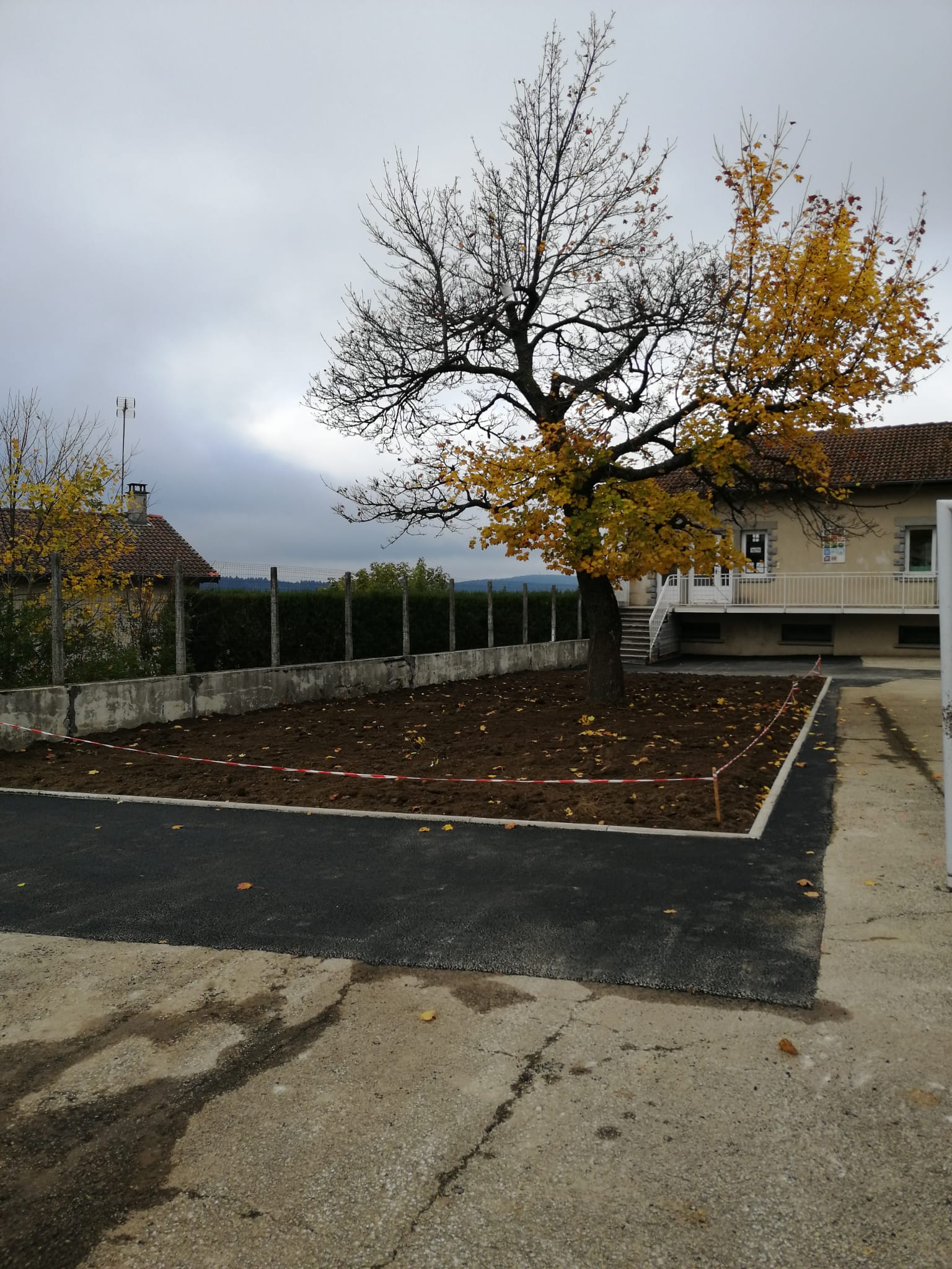 Notre cour se met au vert