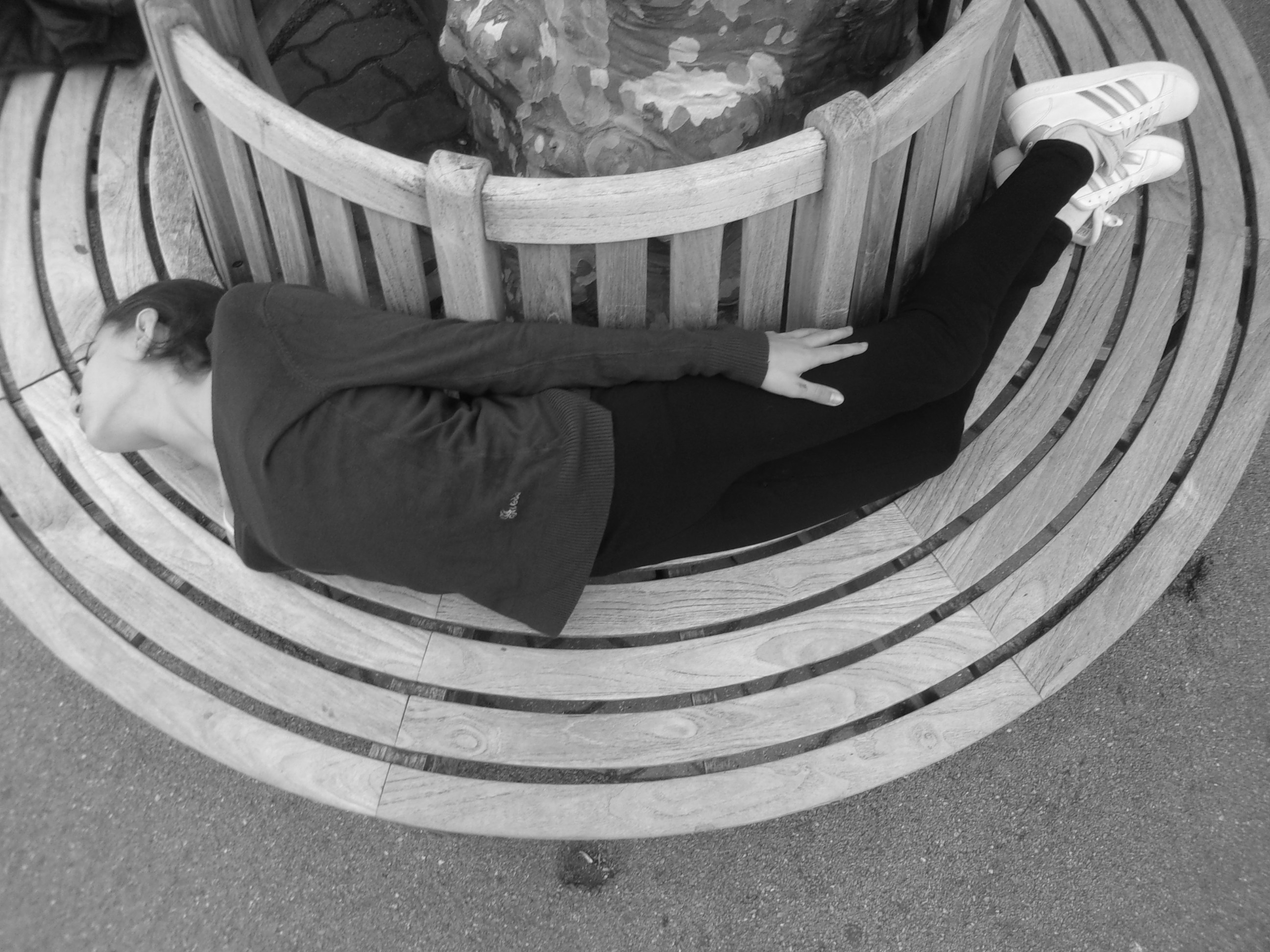 REGARDS SUR LA PHOTOGRAPHIE