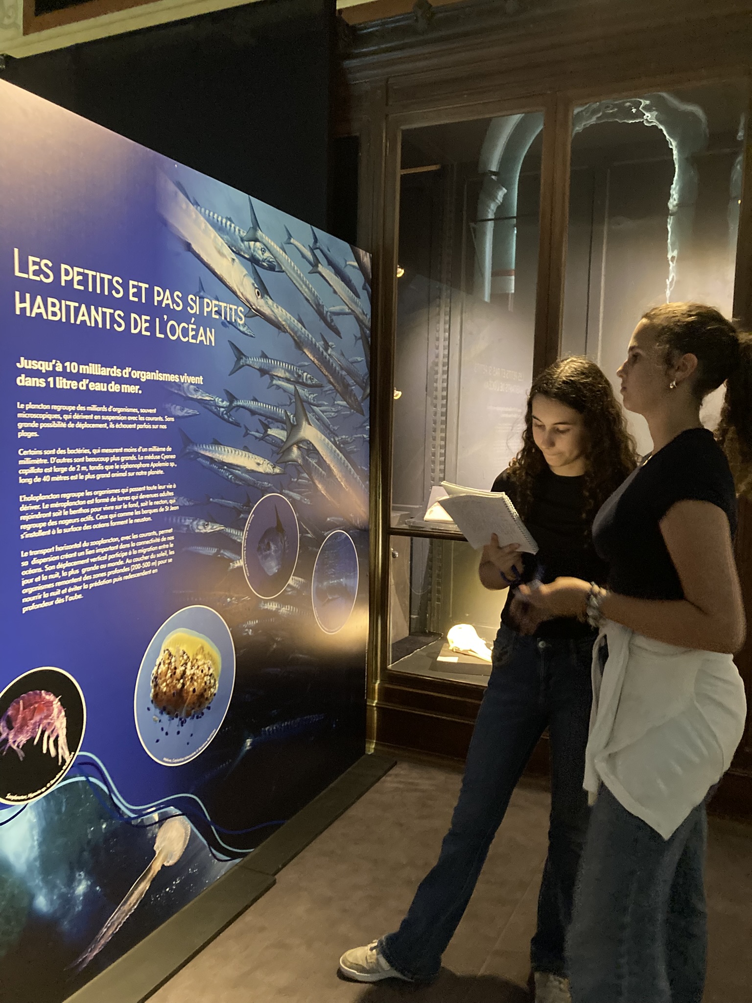 EXPOSITION OCEANS AU PALAIS LONGCHAMP !