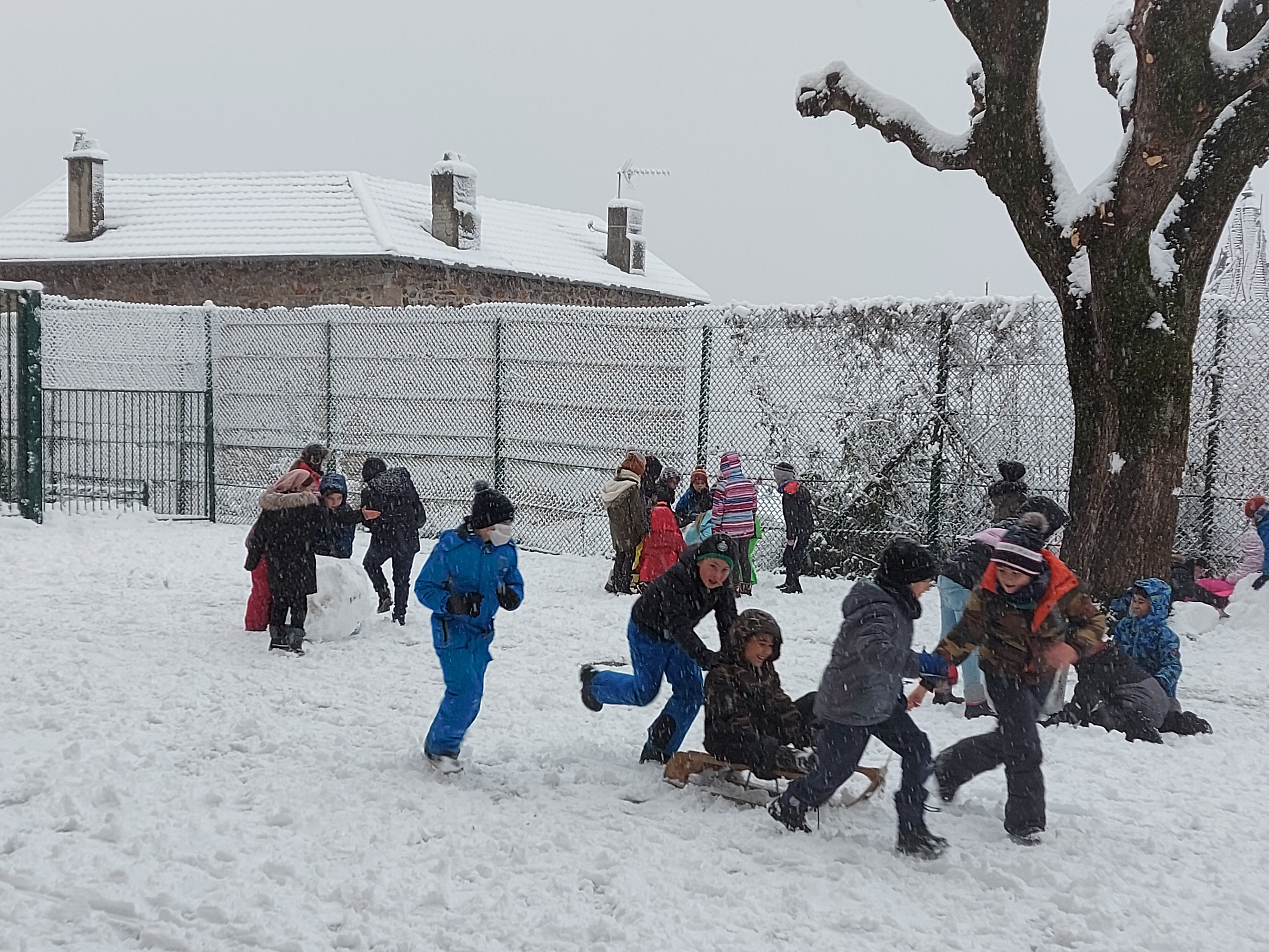 Sous la neige !