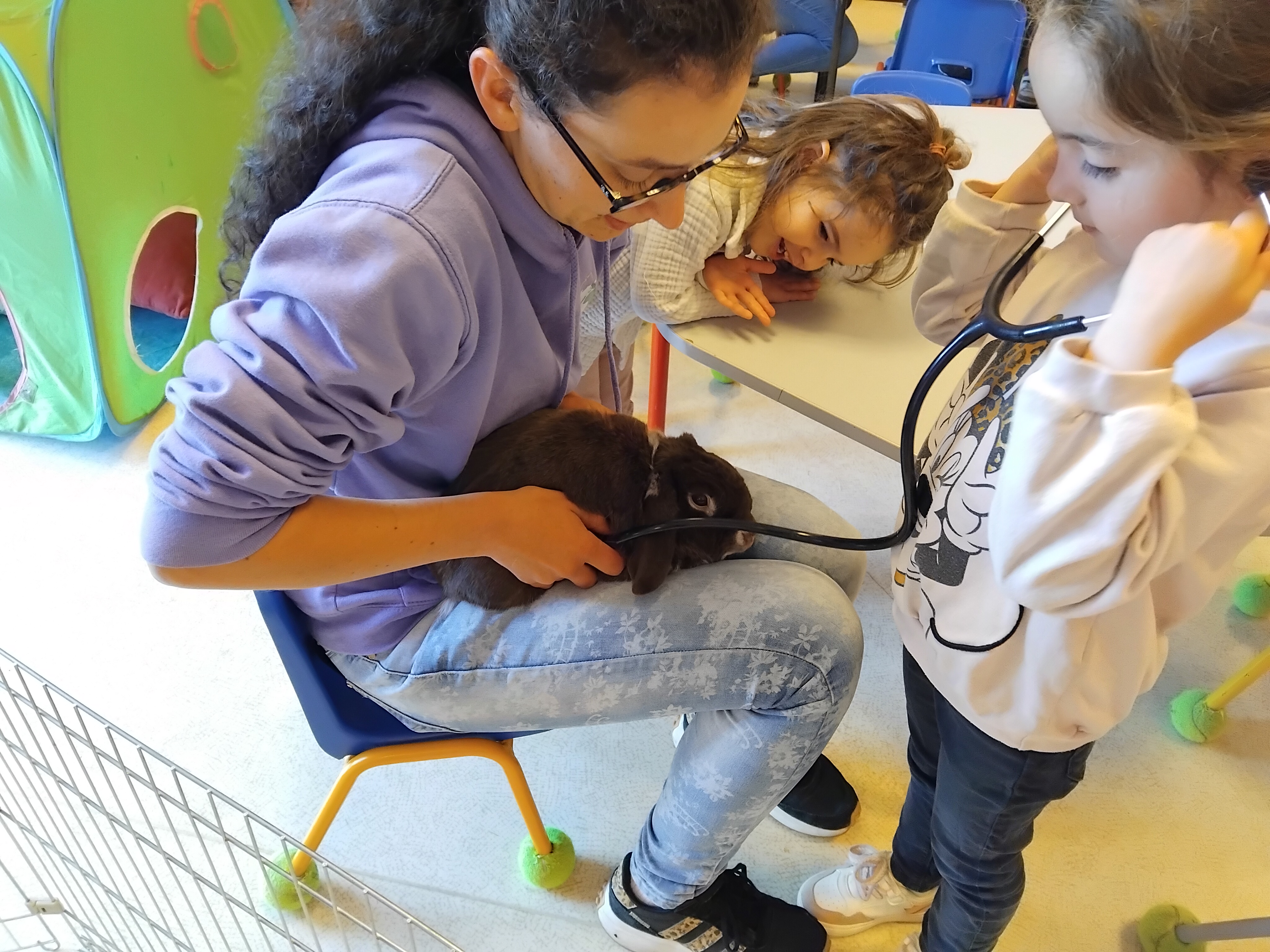 Des écoliers apprentis vétérinaires